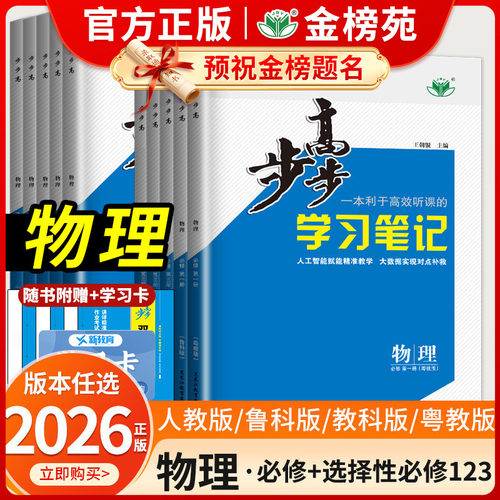 高中物理步步高学习笔记练透