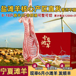 羊肉新鲜宁夏滩羊半只羊整只羊盐池全羊羊排内蒙古新疆滩羊肉10斤