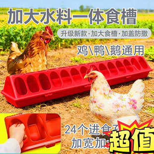 鸡食槽水槽一体新款长方形大号鸡专用防刨防撒防溅喂食器家用食槽