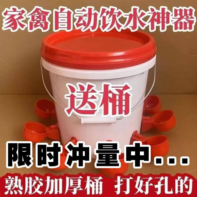 家禽自动饮水器鸽子养鸡专用水壶新款鸭子鹅喂鸡自动饮水器饮水碗