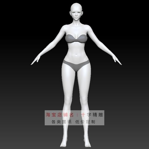 人体三维模型stl女性max女生502女数字人3d犀牛元宇宙美女虚拟人