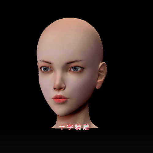 光头女stl模型max人头679头雕bjd犀牛rhino女性头部面部3d打印