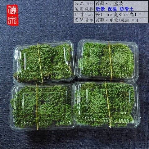 包邮鲜活青苔藓微景观瓶铺面闷养白发藓 diy假山盆栽迷你植物 - 封面