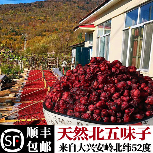 北五味子大兴安岭正宗中泡酒药材