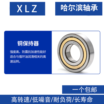 圆柱滚子轴承NUP303-309EM