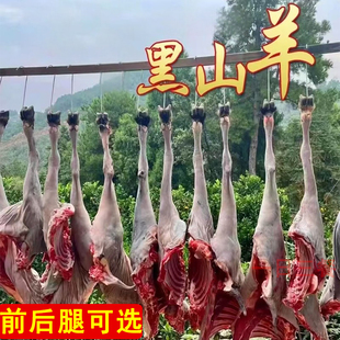 新鲜带皮黑山羊腿整只草原散养黑山羊肉羊前腿带羊排羊后腿特价