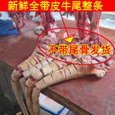 黄牛尾巴现杀自宰整根全带皮牛尾