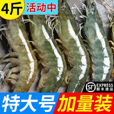 海捕5斤箱水产虾顺丰大虾鲜虾