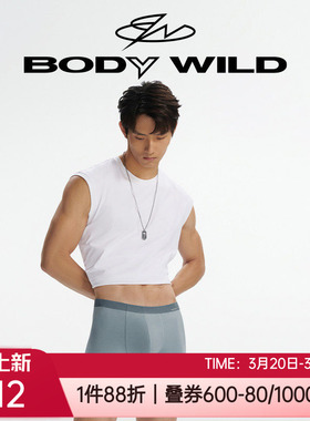 宝迪威德正品80S莫代尔高弹亲肤无痕男士中腰平角内裤头ZBN23YH1