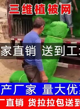 工厂直销三维植被网河道护坡固土用绿色NSS 加筋可定制三维土工网