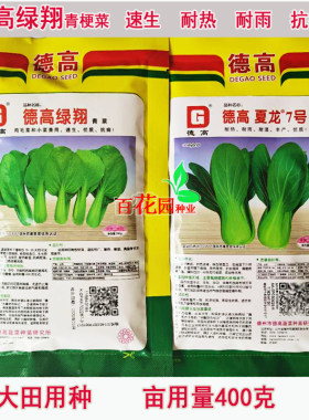 德高绿翔青菜种子夏龙7号青梗菜鸡毛菜小青菜耐热耐雨水蔬菜200克