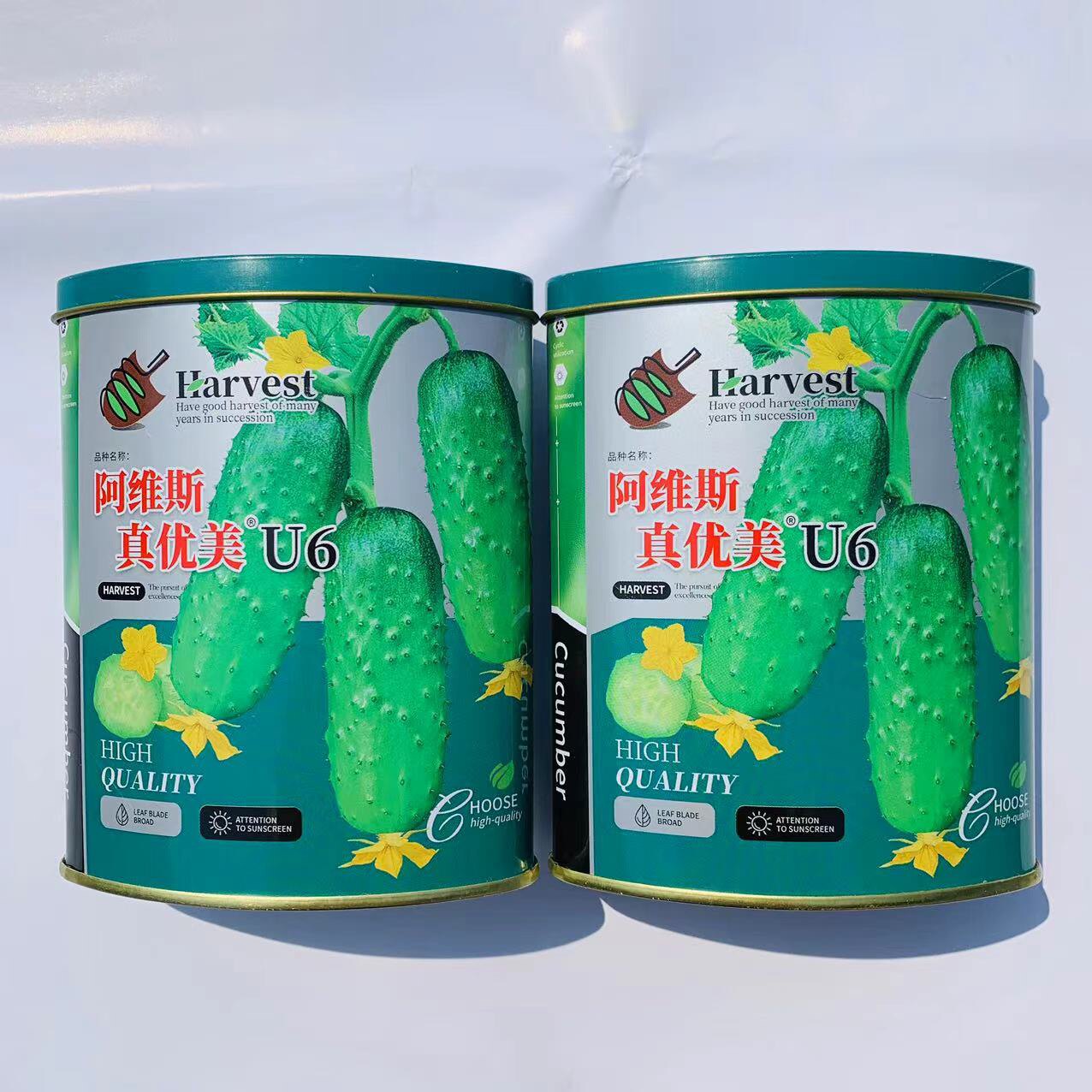 真优美U6水果型黄瓜种子薄皮高蔬菜种子/种苗