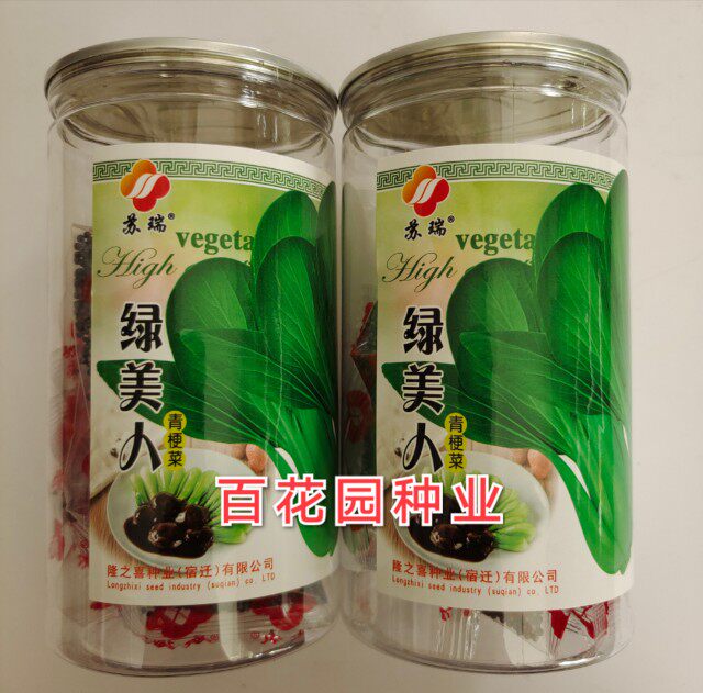 绿美人青梗菜种子早熟耐热耐湿高蔬菜种子/种苗