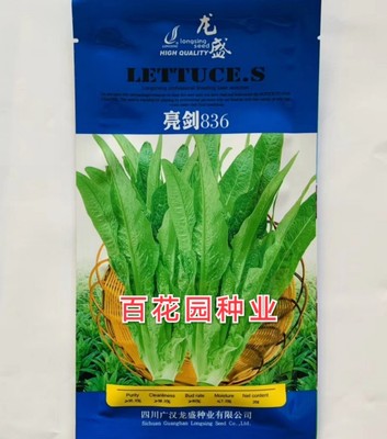 叶菜速生型高品质油麦菜种子油绿 龙盛亮剑836脆嫩油麦菜种籽抗病