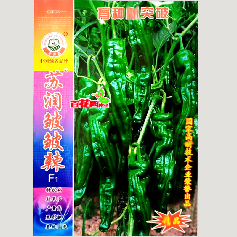 苏润皱皱辣 小皱皮辣椒种子黑皮平头皱皮椒种籽超香辣皮薄 深绿皮