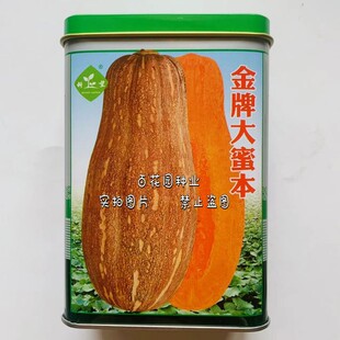 科望金牌大蜜本南瓜种子杂交一代中晚熟肉厚水分少甜面糖份高抗病