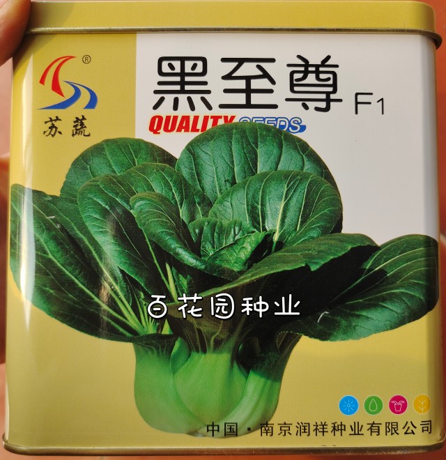 苏蔬黑至尊黑叶矮脚苏州青青菜种子高产四季播油亮四季播黑菜种子