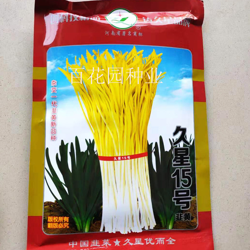 久星十五号15号韭菜种子抗病高产韭黄抗灰霉病衰老辛香味浓种子