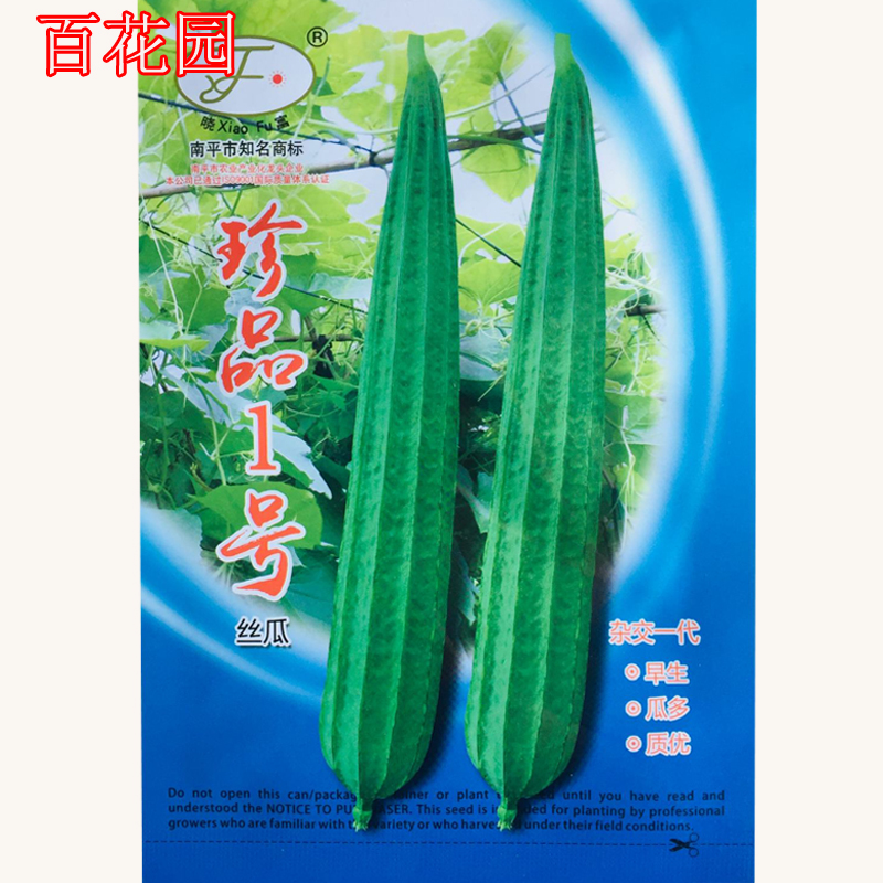 珍品一号丝瓜种籽 四季特大香嫩棱丝瓜种子 四季农家瓜果蔬菜种子