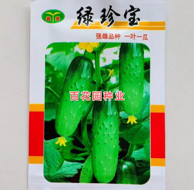 绿珍宝黄瓜种子全雌型节节有瓜一蔬菜种子/种苗