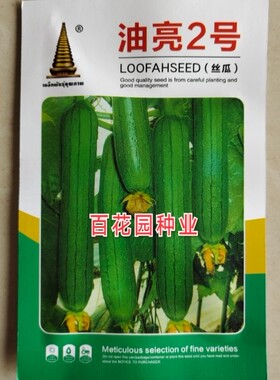 中江油亮2号丝瓜种籽短棒油皮早熟高产春秋播阳台盆栽油丝瓜种子