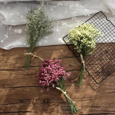 小星花摄影道具背景勿忘我水晶草