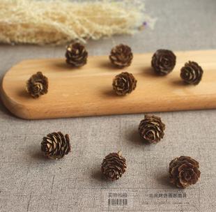 森系天然 柳杉松果 杉树果 落叶松干花复古网店拍摄拍照道具
