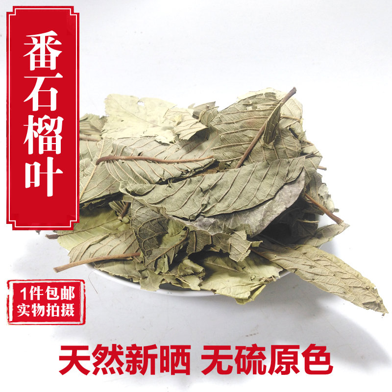 番石榴叶茶500克 野生晒干红心番石榴叶子芭乐叶茶番石榴果干片茶 传统滋补营养品 其他药食同源食品 原图主图