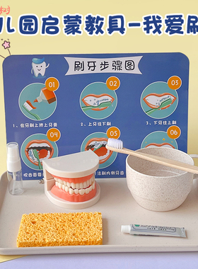 蒙氏教具精细动作训练早教生活小班材料包幼儿园区域刷牙牙齿操作