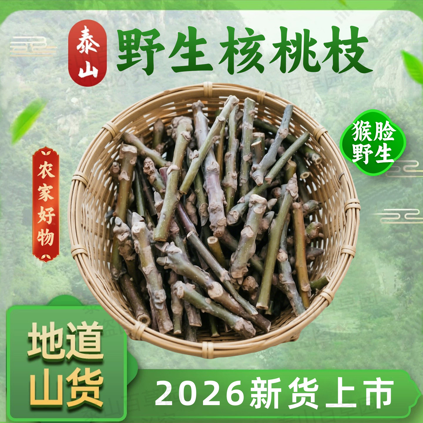2026年泰山野生核桃树枝干核桃枝山核桃树尖正宗猴脸可煮鸡蛋新货