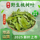 2025年泰山野生桃树叶毛桃叶子桃叶非药材配花椒煮水泡脚新晒干货