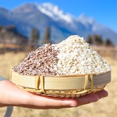 高原藜麦片膳食营养代餐粉无添加无麸质即食粗粮饱腹无蔗糖