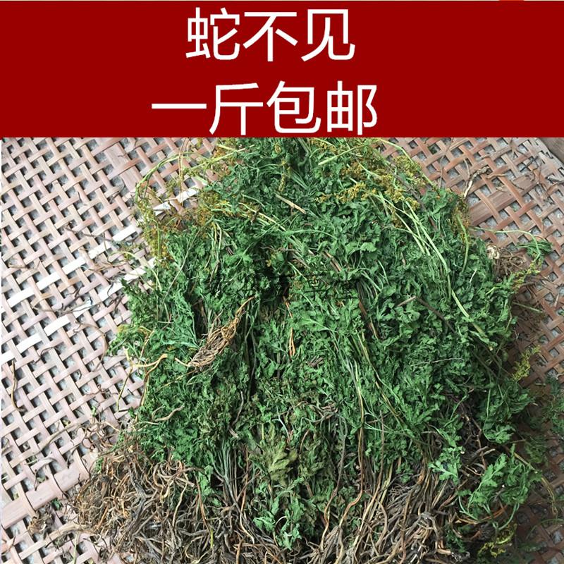 2019中药材小春花 野生阴地蕨 蛇不见一朵云独脚金 包邮500克