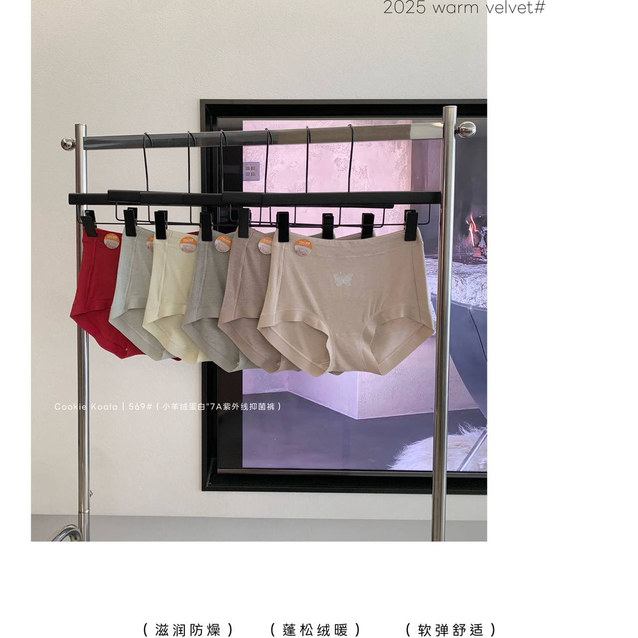Cookie koala羊绒蛋白面料10A抑菌裤3条礼盒装女士三角内裤NK-569