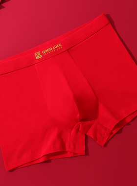 本命年大红色属马年结婚礼物精梳棉质面料男士平角内裤NK-6060C31