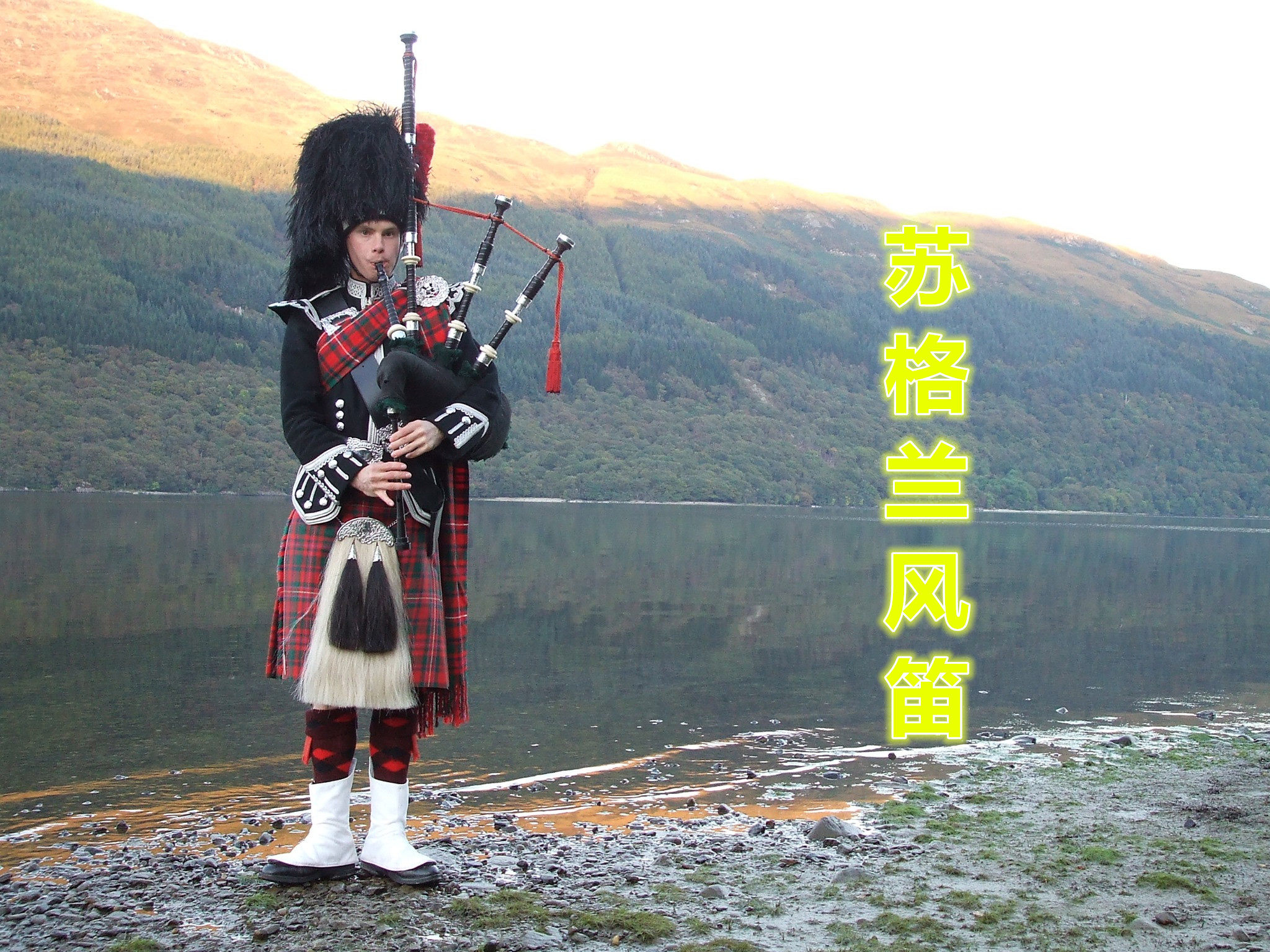 苏格兰风笛11款 高地风笛Bagpipes玫瑰木风袋管专业笛子乐器