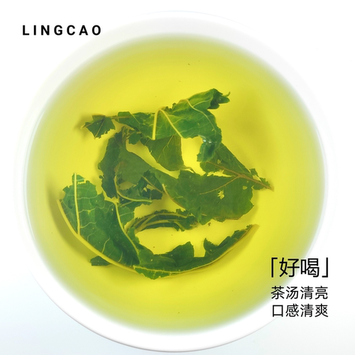 瓴草桑叶茶霜桑叶茶正宗高山茶