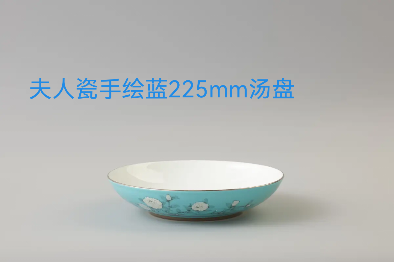 特价售  夫人瓷手绘蓝餐具散件225mm汤盘 安全包装 正品保障