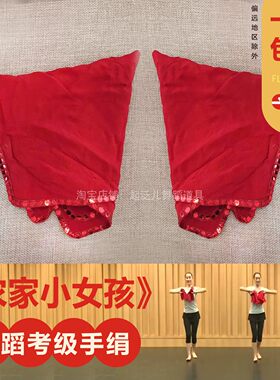 中国舞蹈家协会五级农家小女孩考级专用手绢花民族民间舞考级道具