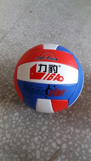 Ballon de volley - Ref 2012981 Image 4