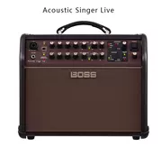 Loa Roland Guitar AcousticSinger Live Acoustic - Loa loa