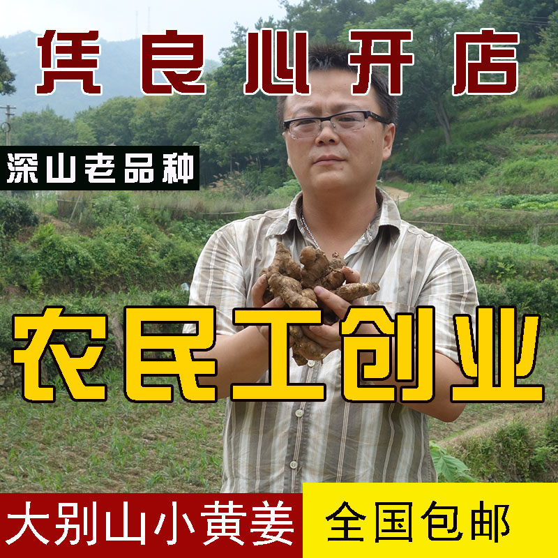 大别山农家老品种新鲜包邮生姜