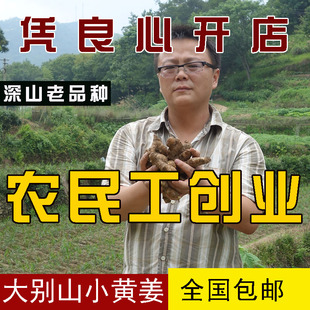 大别山农家老品种新鲜生姜小黄姜老姜母小土姜月子姜老姜包邮