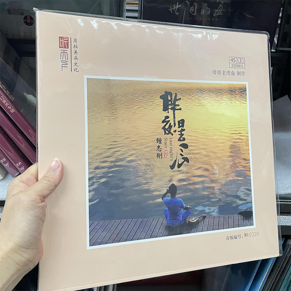 正版 听天下唱片 钟志刚 昨夜星辰 黑胶LP留声机专用12寸