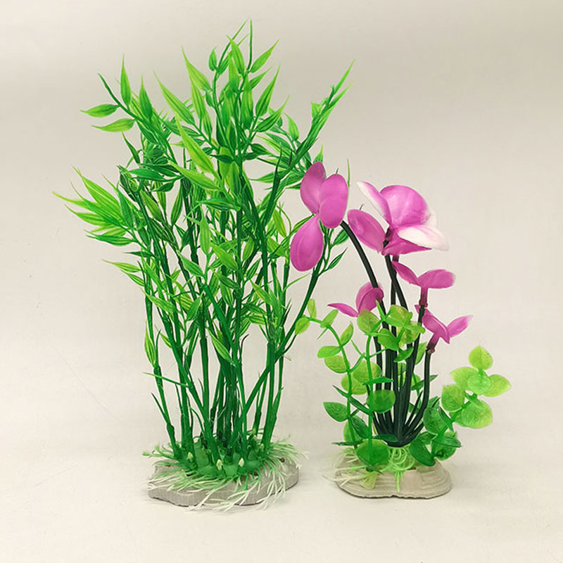 水自在鱼缸造景水草组合