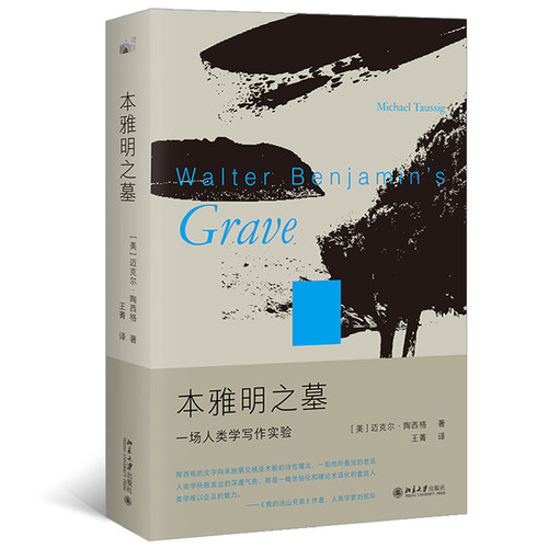 本雅明之墓：一场人类学写作实验 （迈克尔·陶西格著  北京大学  ）