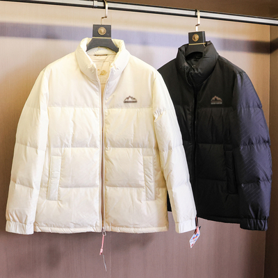 色宽松立领蓬松长袖外套男羽绒服