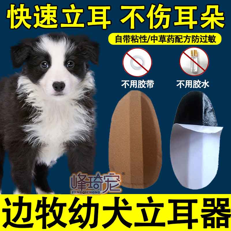 边牧幼犬专用立耳贴边境牧羊犬狗狗耳朵辅助器矫正器固定器免胶水 宠物/宠物食品及用品 更多日用品 原图主图