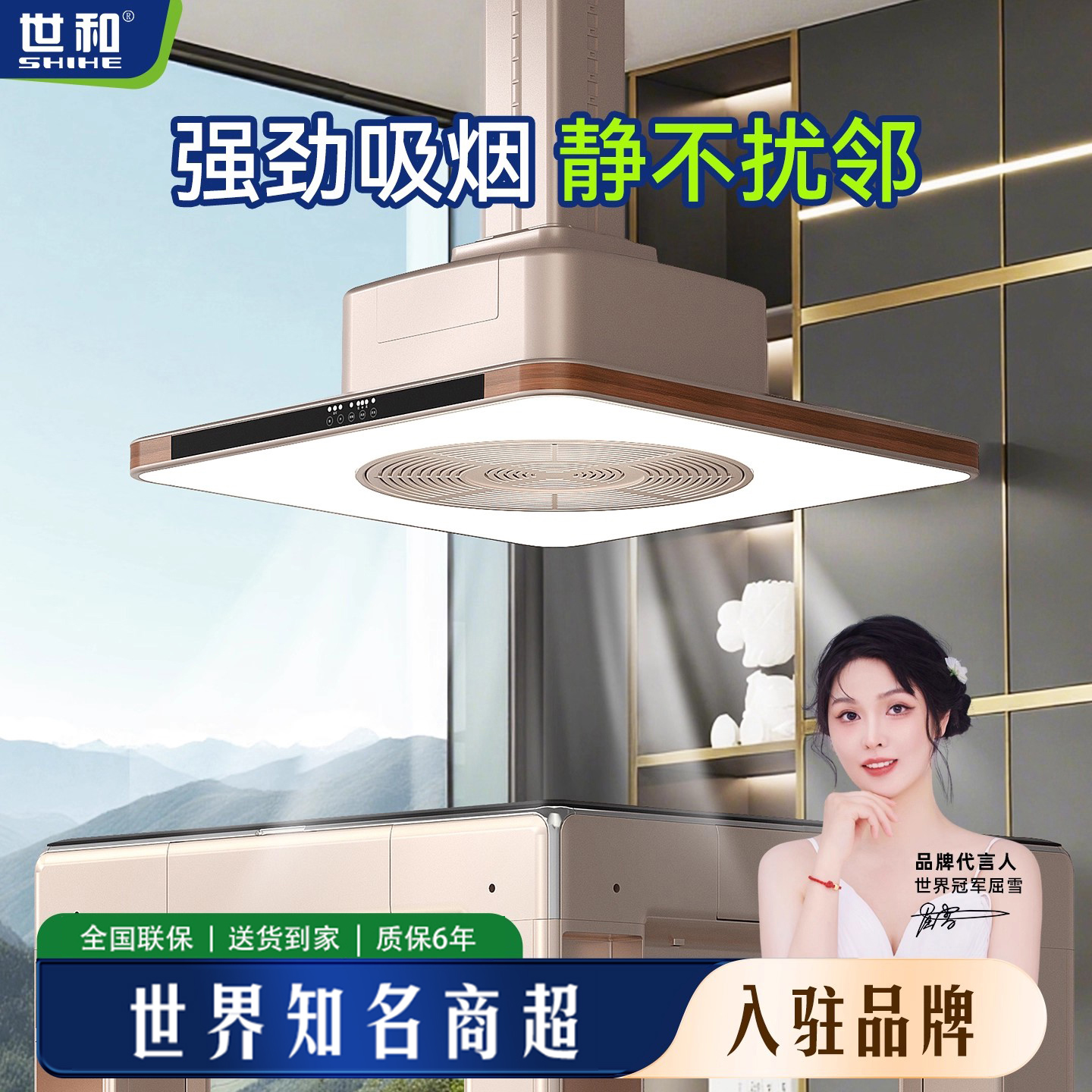 世和棋牌室麻将机吸烟灯空气净化器茶楼升降吊灯专用抽烟排烟神器