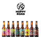 酸小麦系列 法国进口 330ml精酿啤酒 Road 古斯 酒花之路 Hoppy